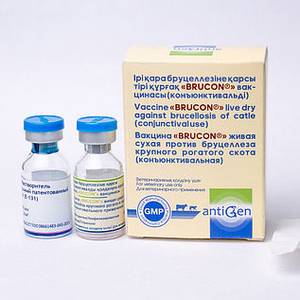Вакцина «BRUCON»