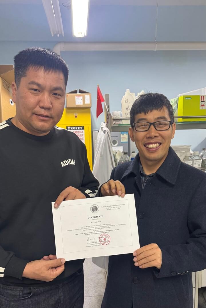 Лабораторная работа во время стажировки