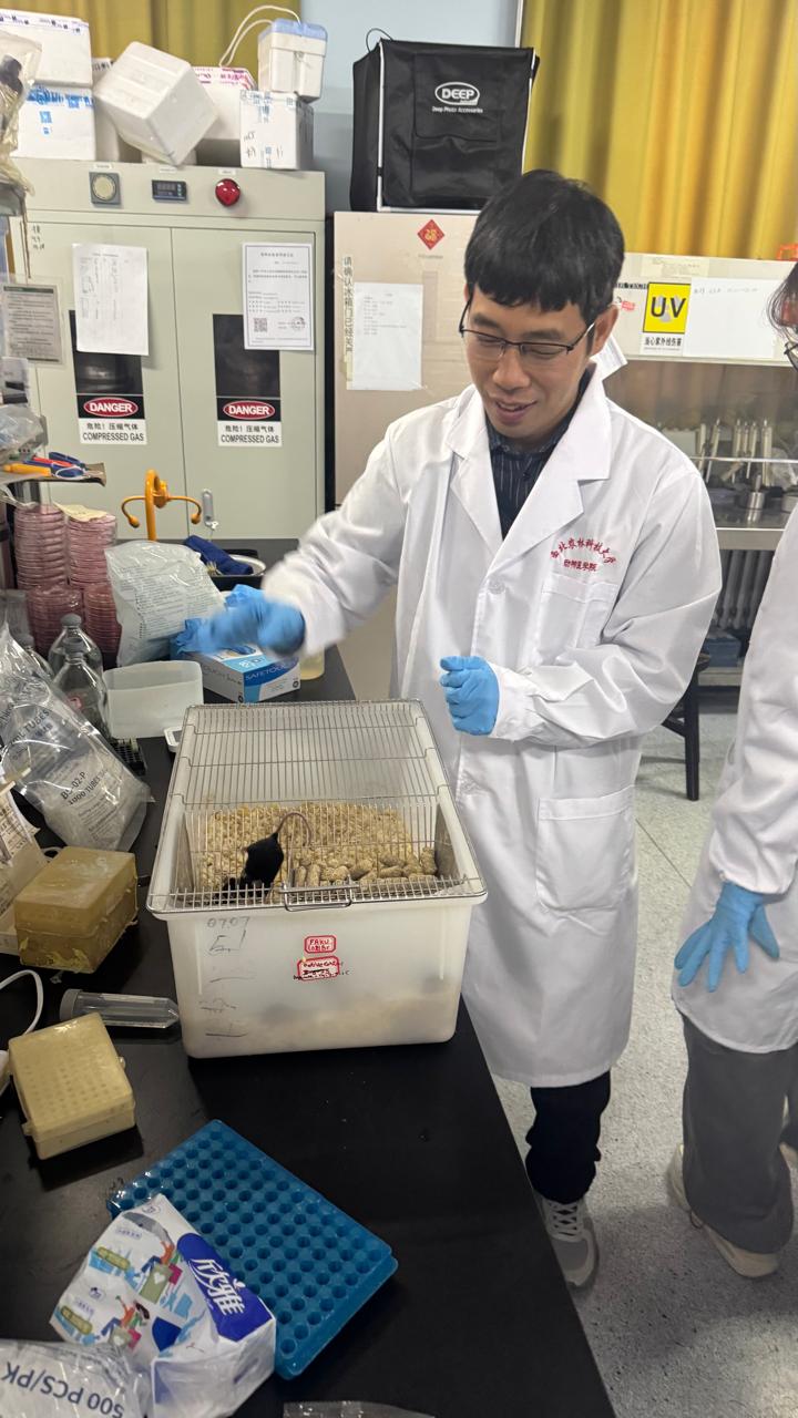 Сапаров А. в College of Veterinary Medicine