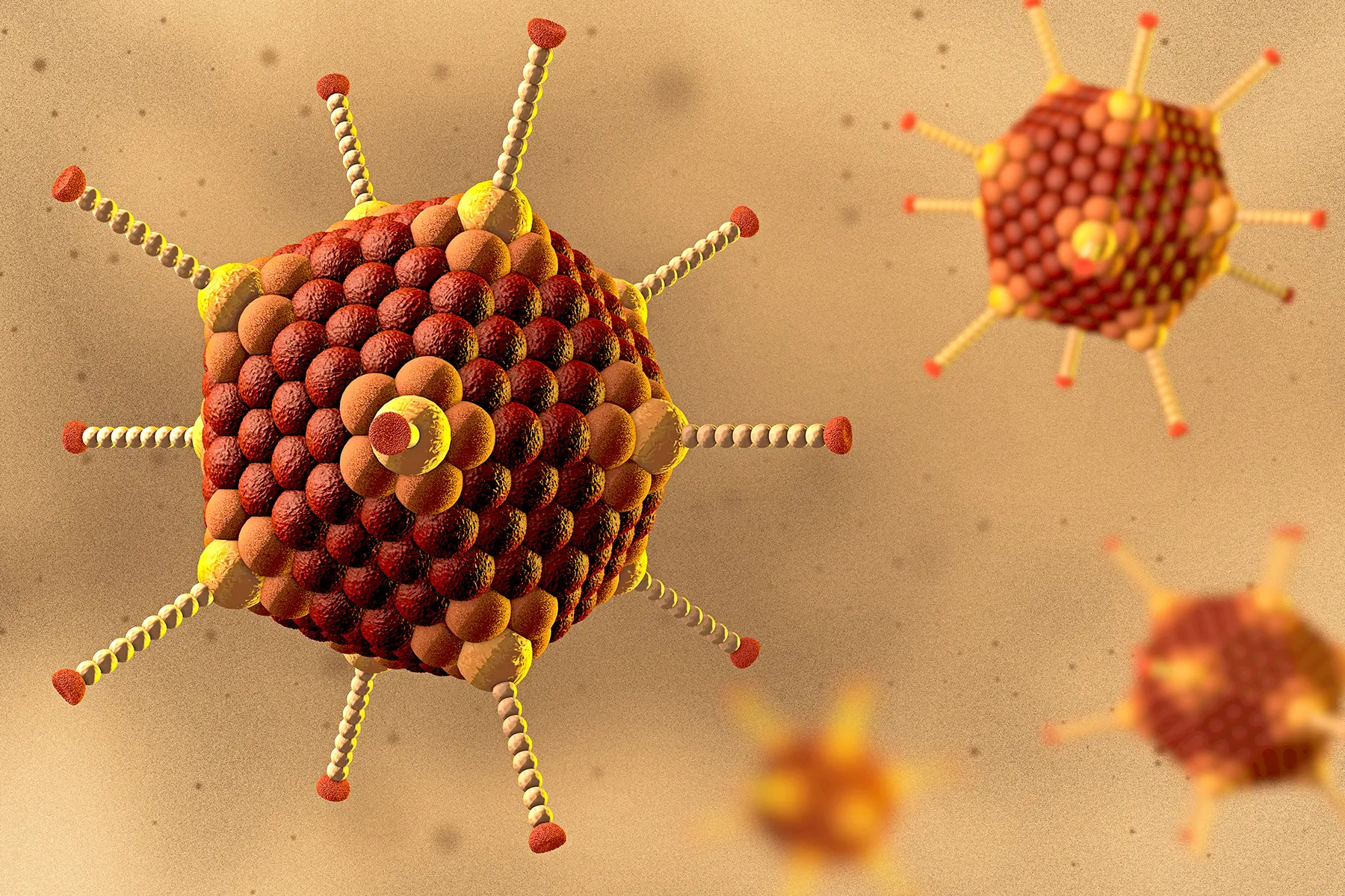 Аденовирус вирус Вирион